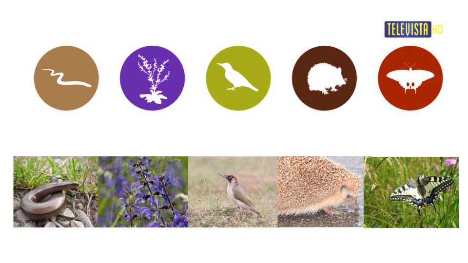 Vorschaubild für Naturfinder Rundgang