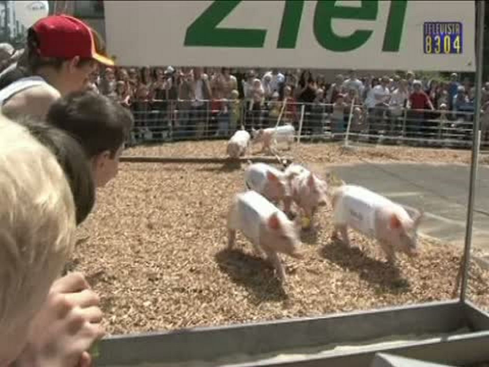 Vorschaubild für Säulirennen am Fruehlingsmarkt